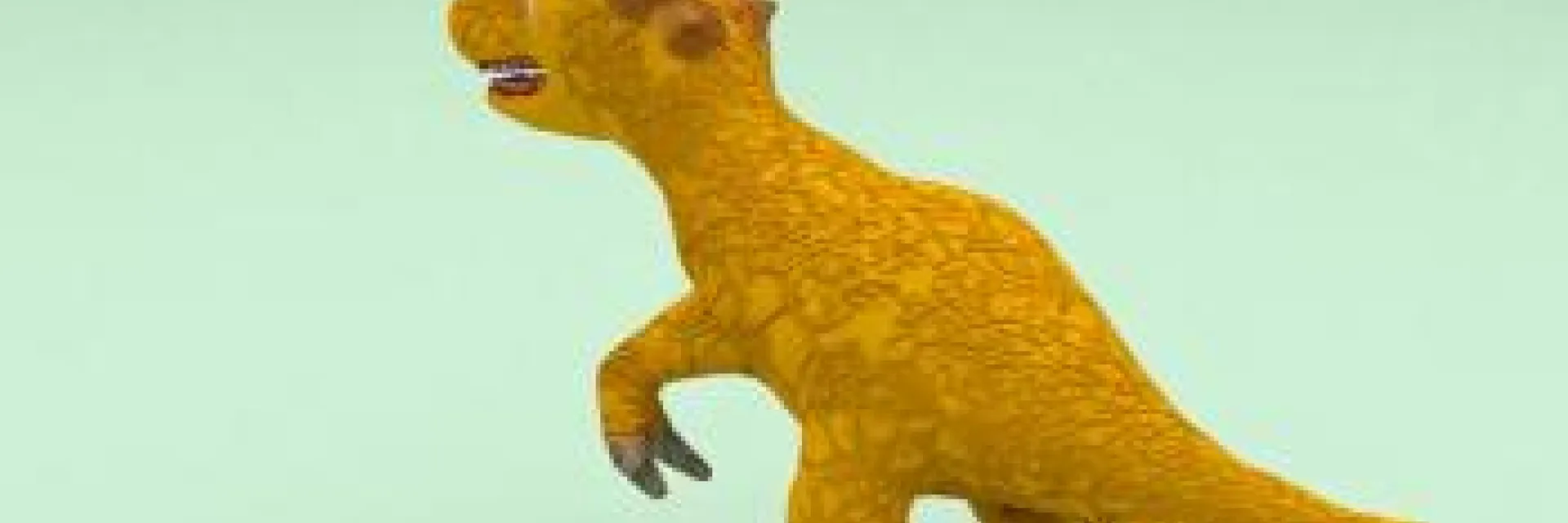 Proyecto Reel Africa Viana