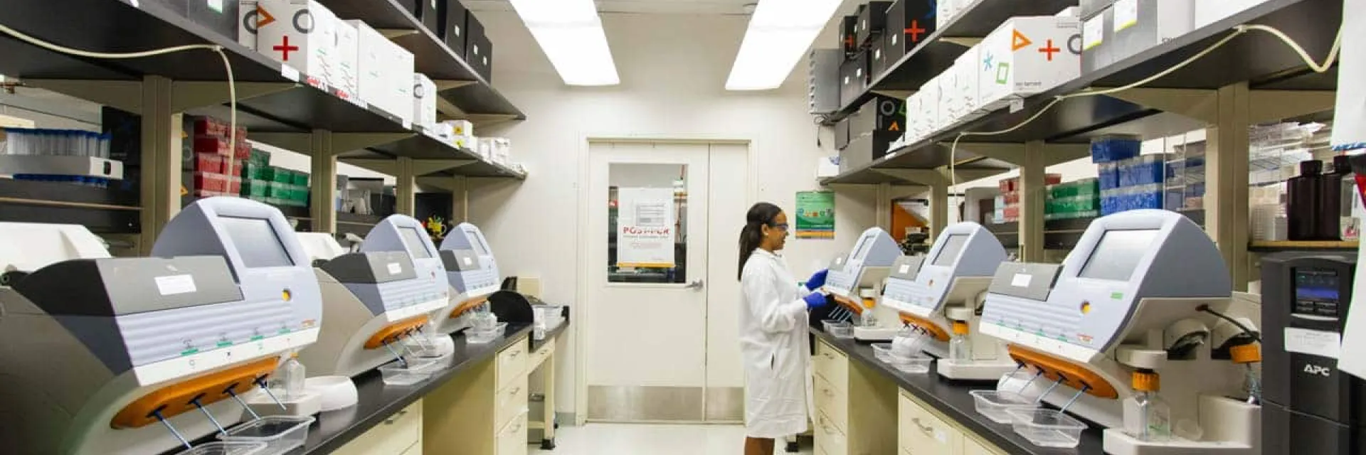 Técnico Superior en anatomía patológica y citodiagnóstico en laboratorio