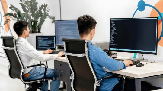 Programadores web trabajando