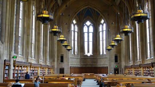  Biblioteca de la Universidad de Washington, estilo gótico colegial.
