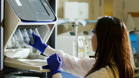 Técnico Superior en Laboratorio Clínico realiza sus funciones principales