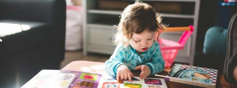 Libros de Educación Infantil