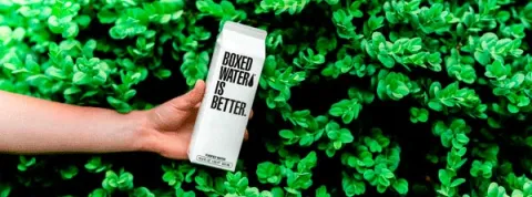 Mindful Marketing | iFP