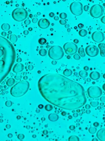 Cortometraje - Técnicos sanitarios esclareciendo un caso policial