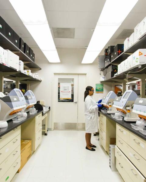 ¿Cómo ser Técnico Superior en anatomía patológica y citodiagnóstico?