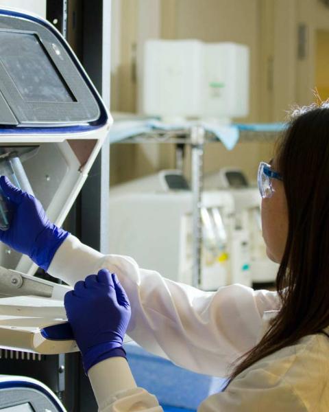 Trabajador en laboratorio - sanidad