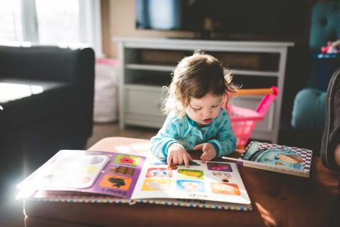 Libros de Educación Infantil